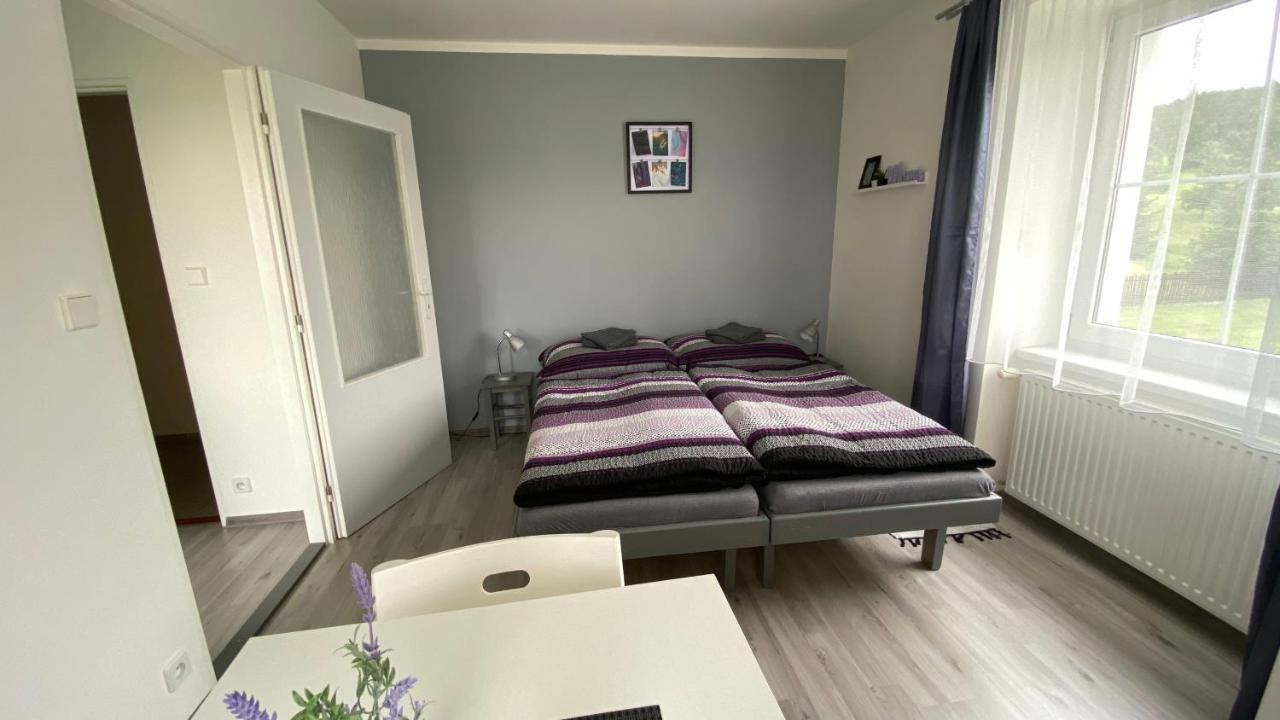 Penzion Kamejk Kamyk nad Vltavou Eksteriør billede